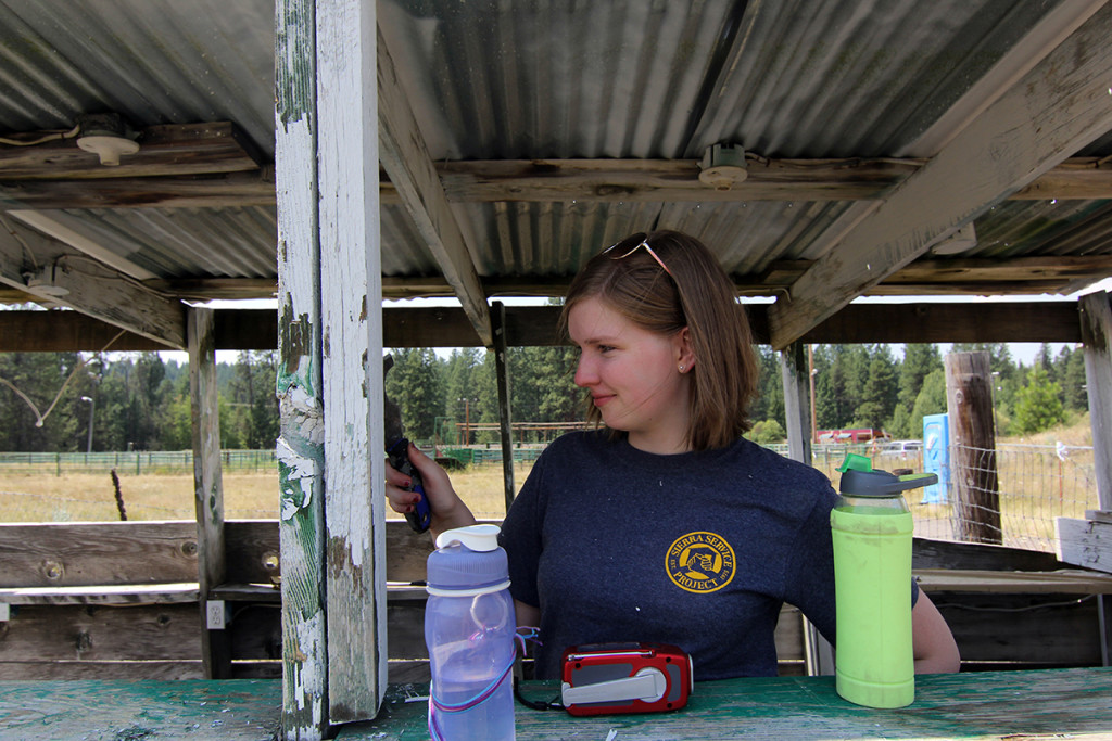 Chiloquin 2015 (91) Sierra Service Project