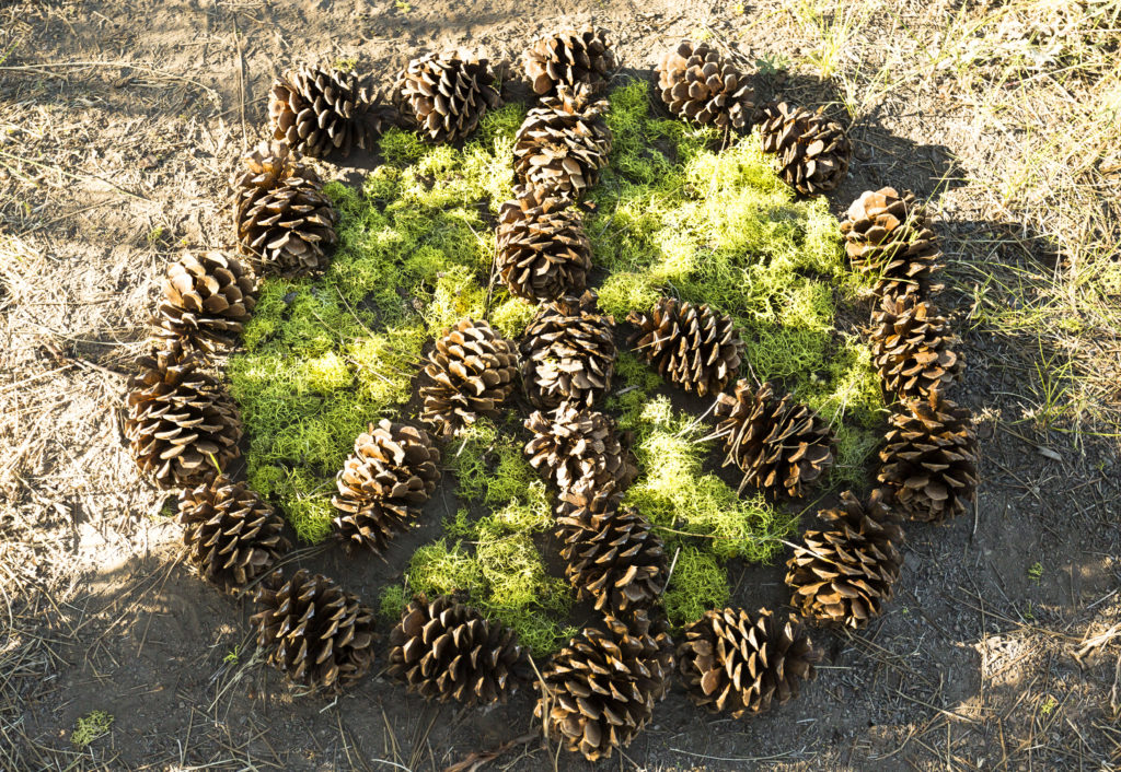 Chiloquin Sierra Service Project