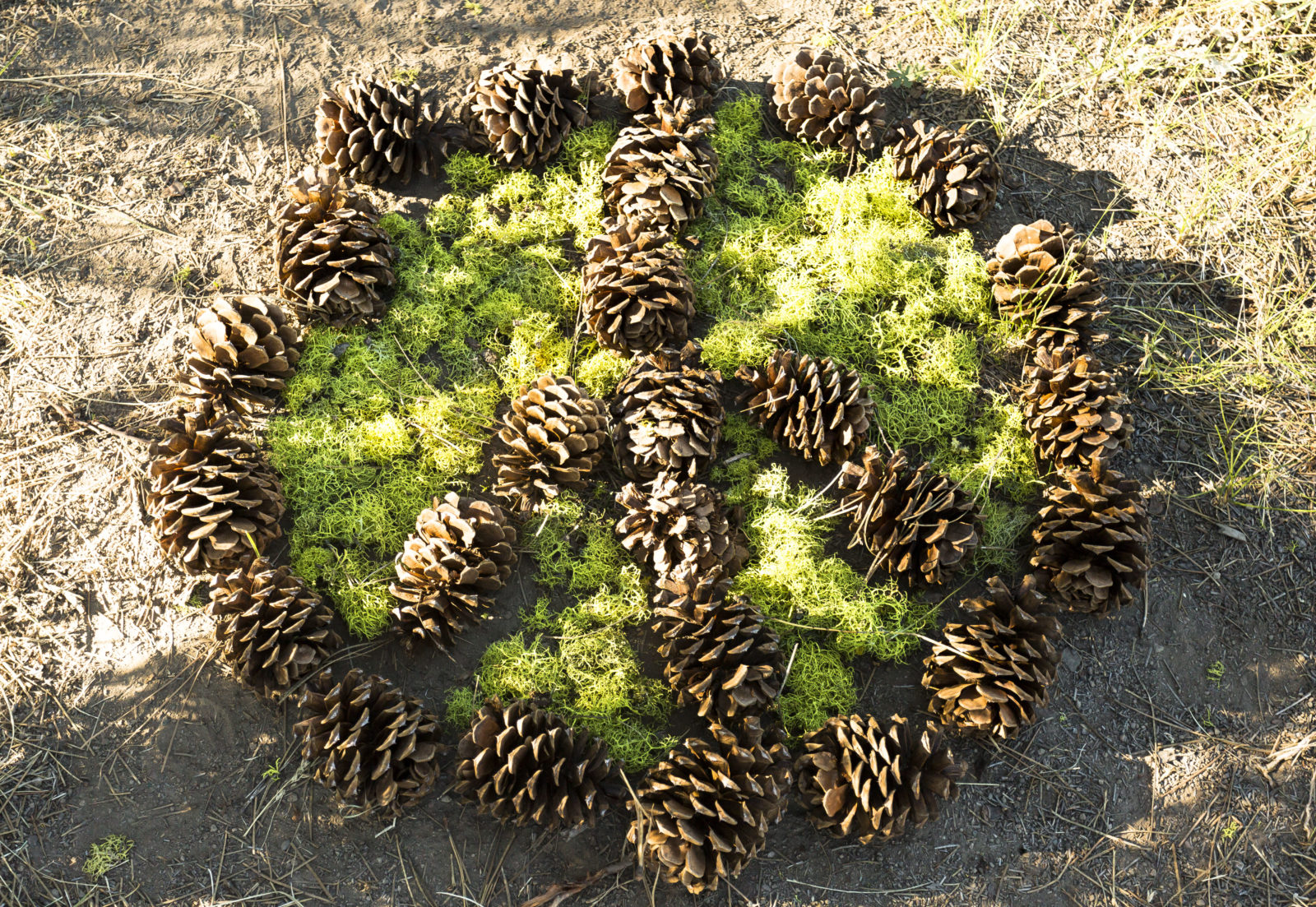 Chiloquin Sierra Service Project