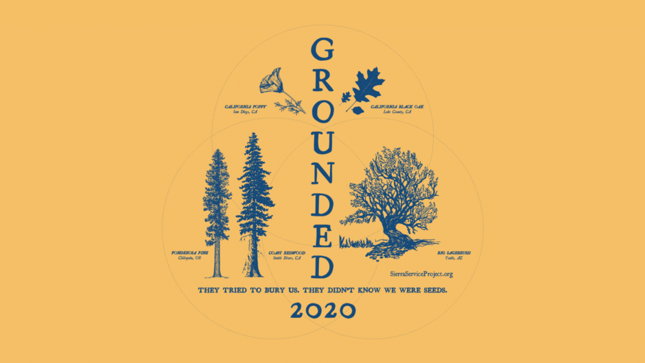 Summer 2020 Theme: Grounded