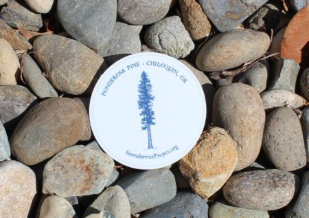 2020 Community Stickers - Image 4