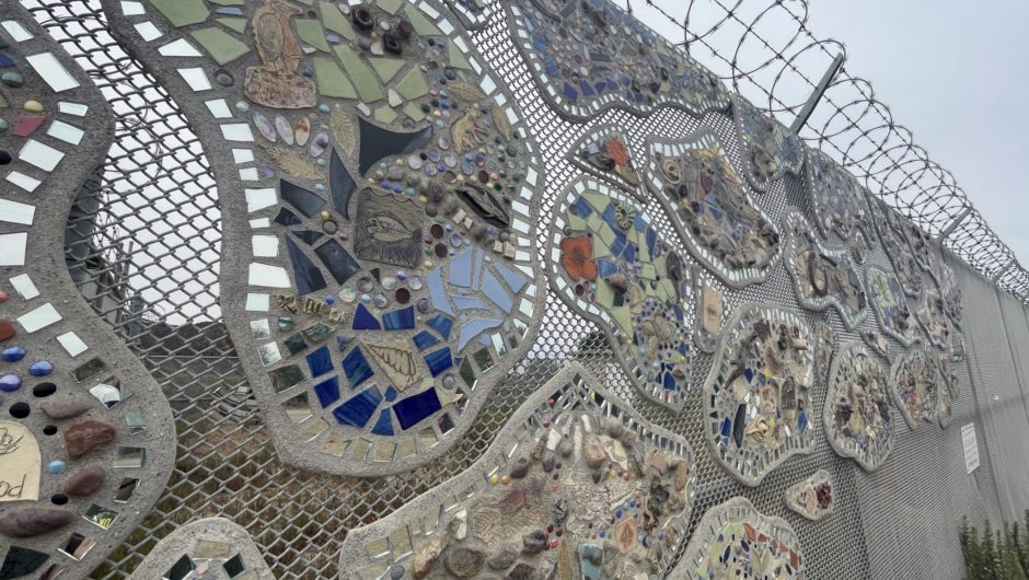 2022 News: San Diego – My Place In This Place